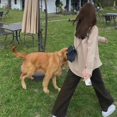 大狂蜂：起源